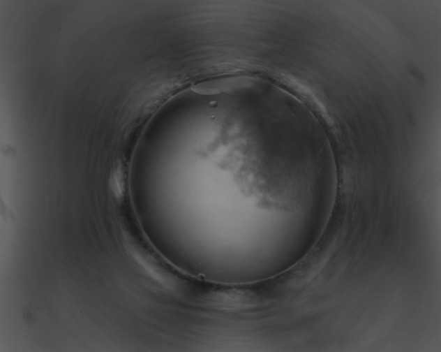 X0000090980069200708021507