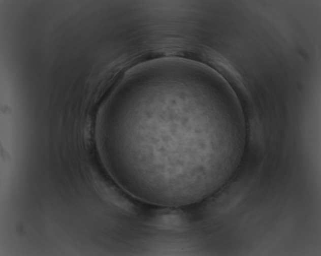 X0000090980073200708021507