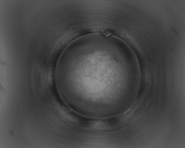 X0000090980074200708021507
