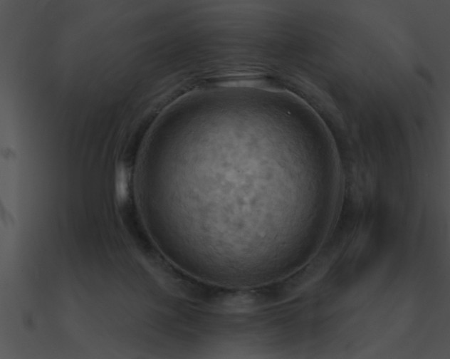 X0000090980075200708021507