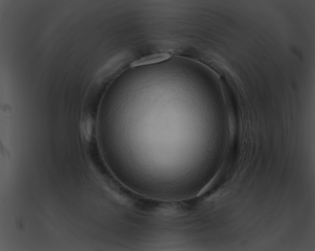 X0000090980076200708021507