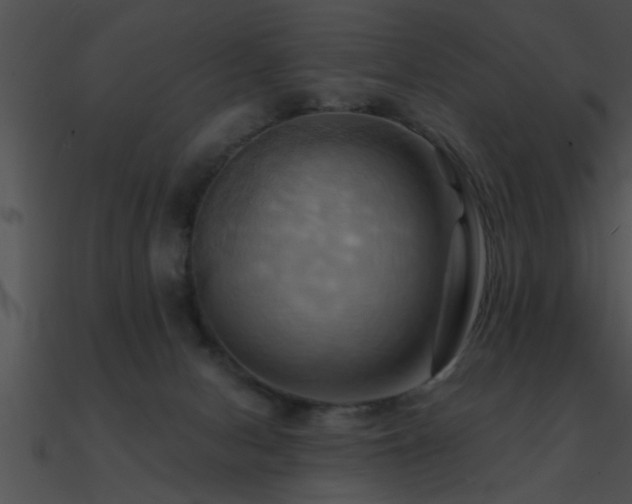 X0000090980078200708021507
