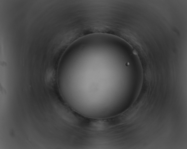 X0000090980079200708021507