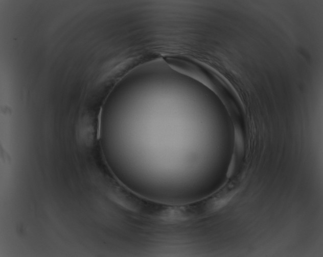 X0000090980080200708021507