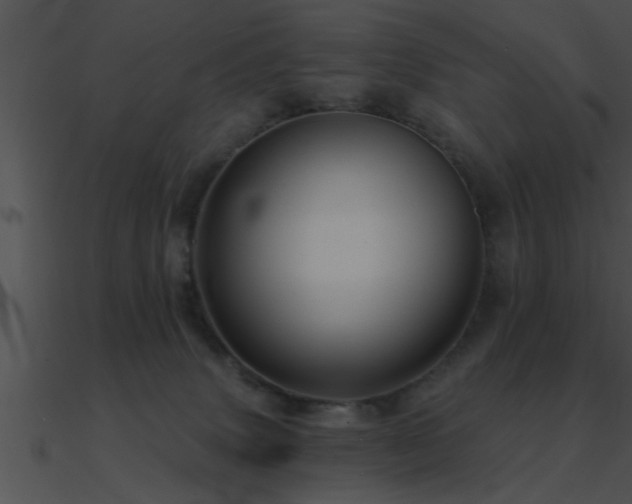 X0000090980083200708021507