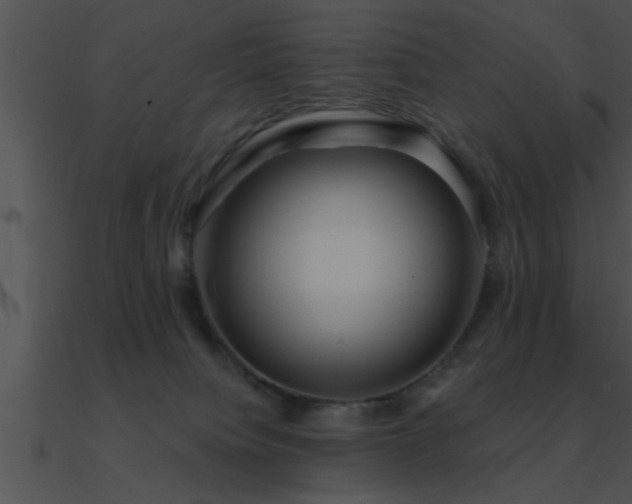 X0000090980084200708021507