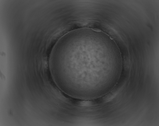 X0000090980085200708021507