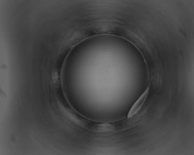X0000090980087200708021507