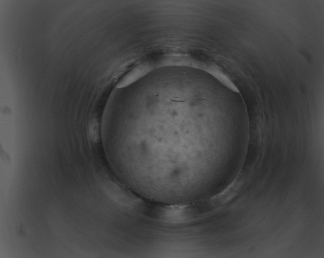 X0000090980090200708021507