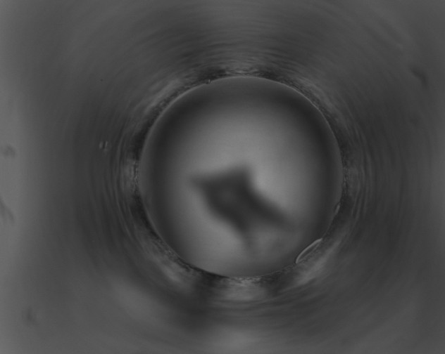 X0000090980093200708021508