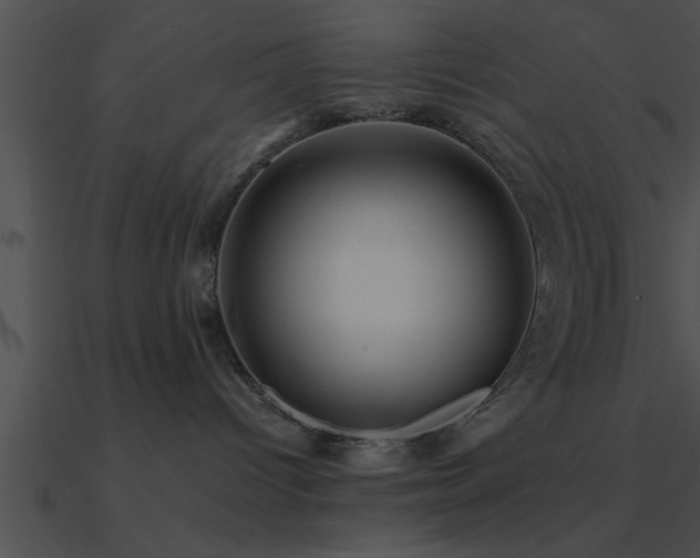 X0000090980096200708021508