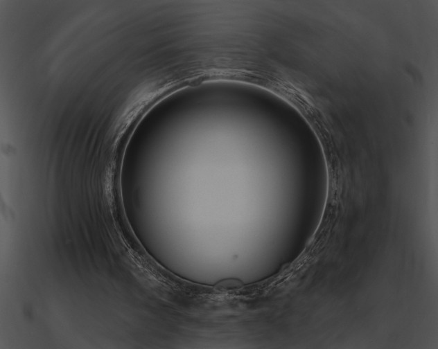 X0000090980098200708021507