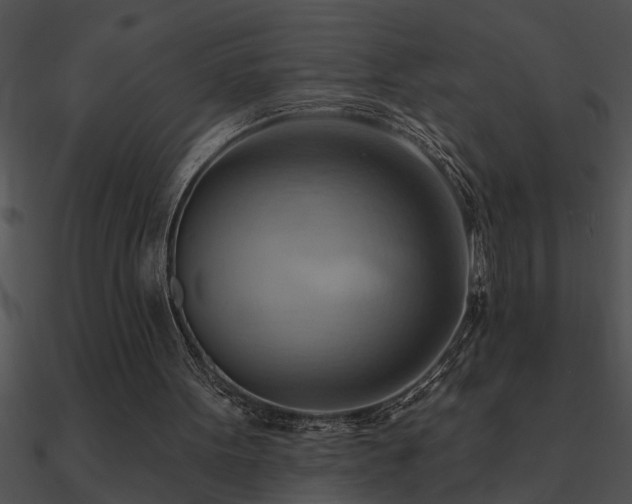 X0000090980099200708021507