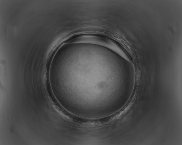 X0000090980101200708021507