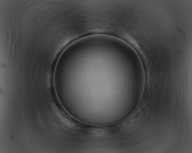X0000090980106200708021507