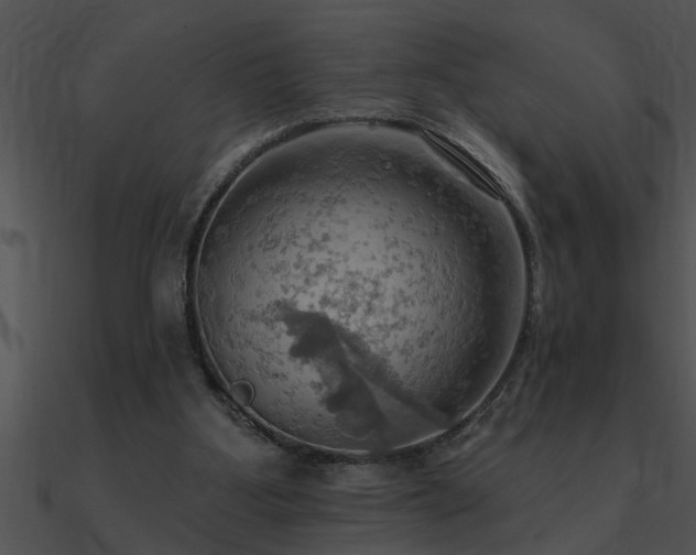 X0000090980107200708021507