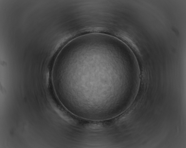 X0000090980110200708021507