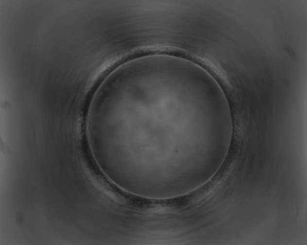 X0000090980111200708021507
