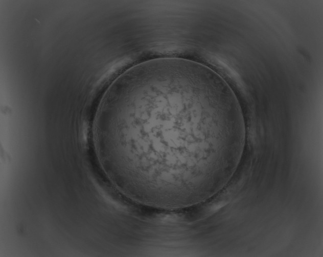 X0000090980115200708021507