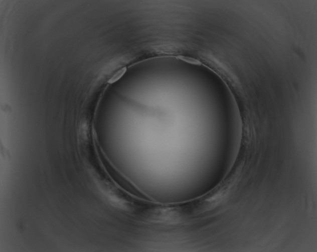 X0000090980117200708021507