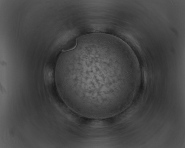 X0000090980123200708021507