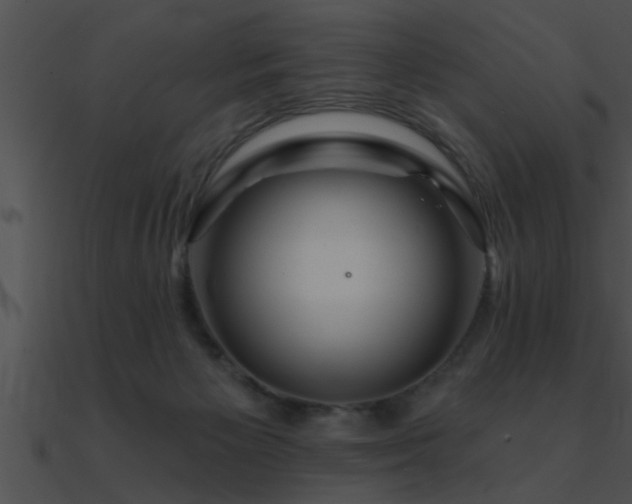 X0000090980125200708021507