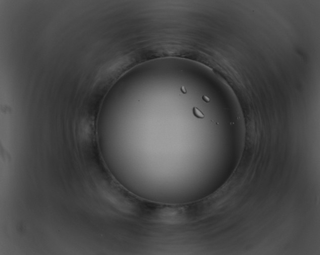 X0000090980126200708021507