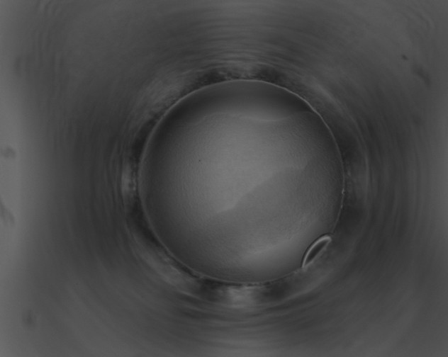 X0000090980134200708021506