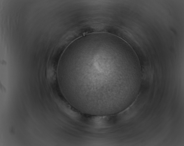X0000090980136200708021506
