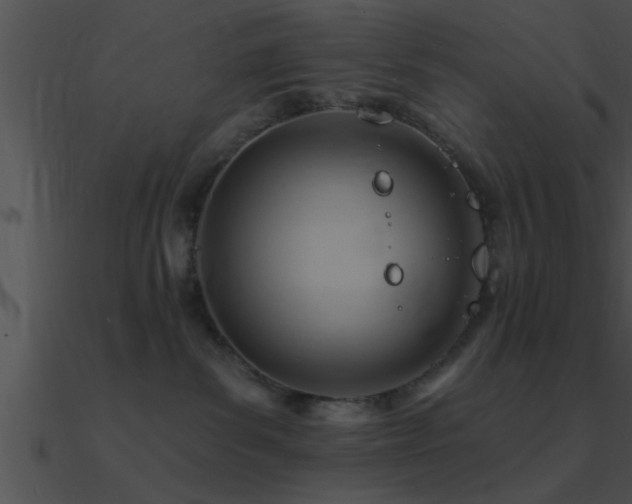 X0000090980139200708021506