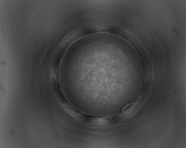 X0000090980140200708021506