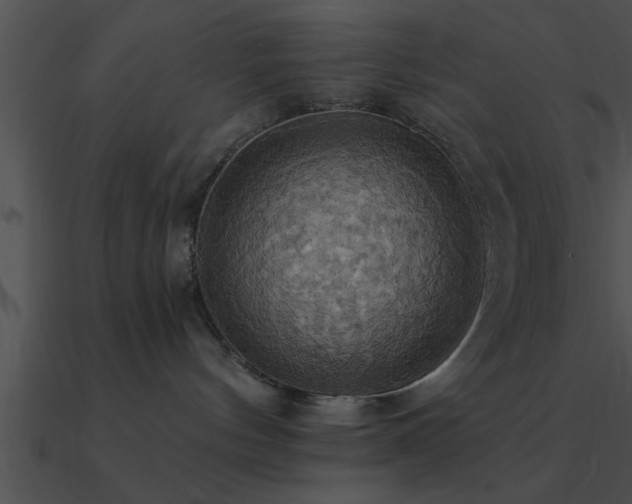 X0000090980144200708021506
