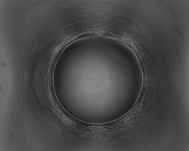 X0000090980145200708021506