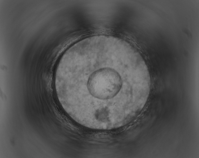 X0000090980146200708021506