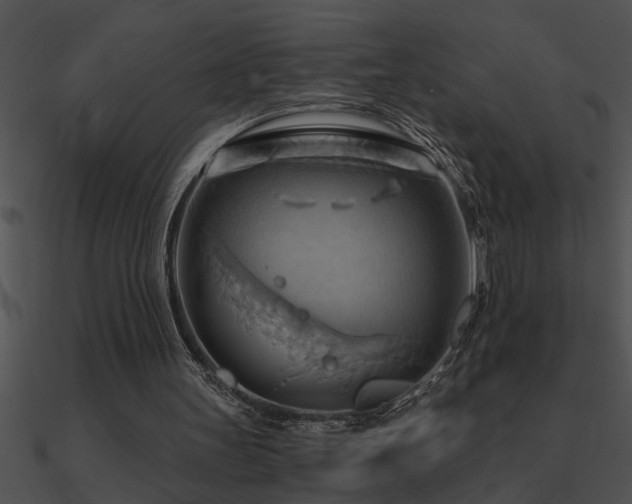 X0000090980147200708021506