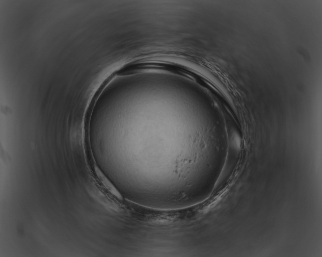 X0000090980148200708021506