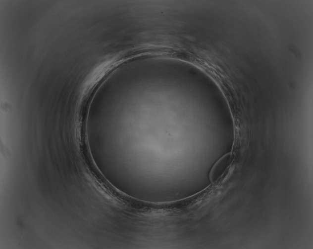X0000090980149200708021506