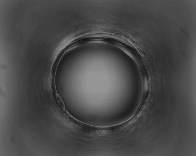 X0000090980152200708021506