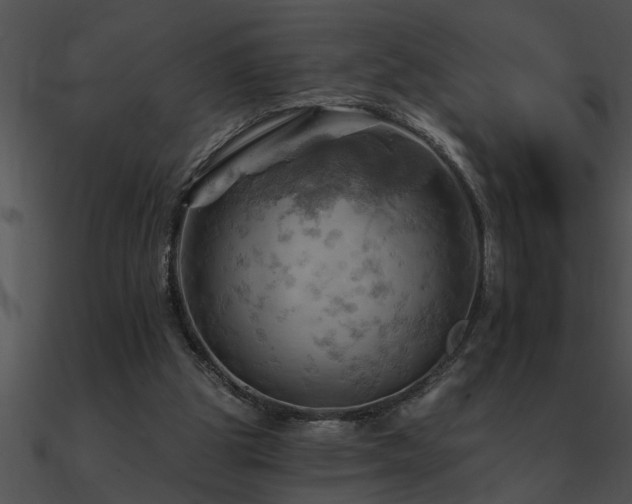 X0000090980153200708021506