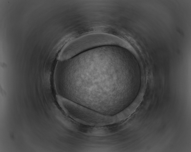 X0000090980154200708021506