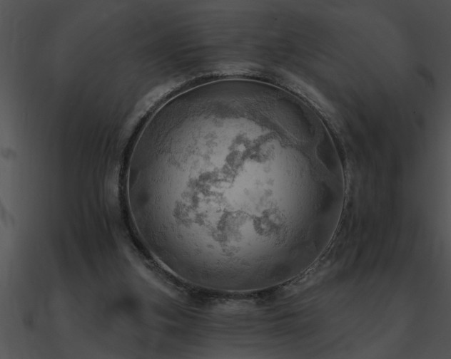 X0000090980155200708021506