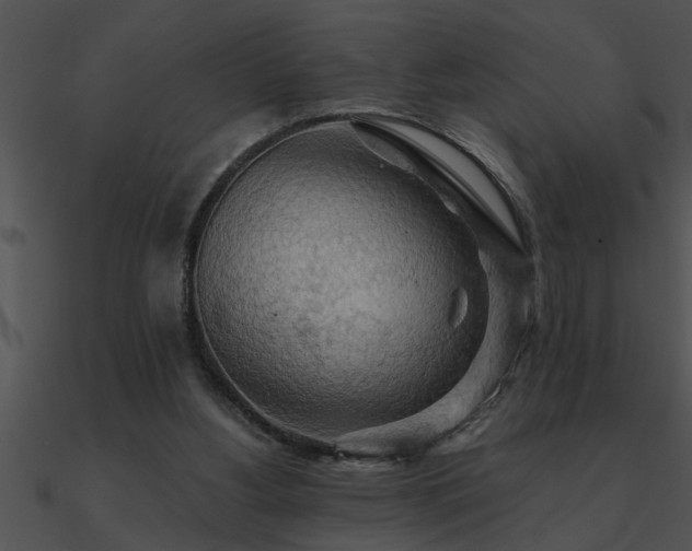 X0000090980156200708021506