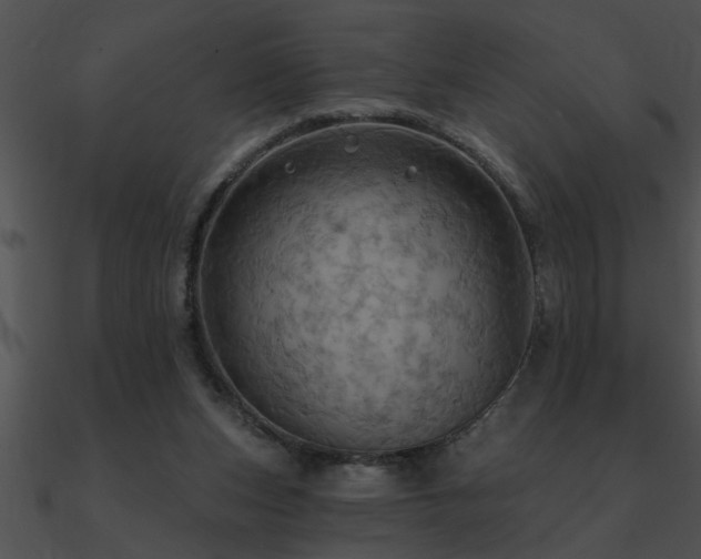 X0000090980159200708021506