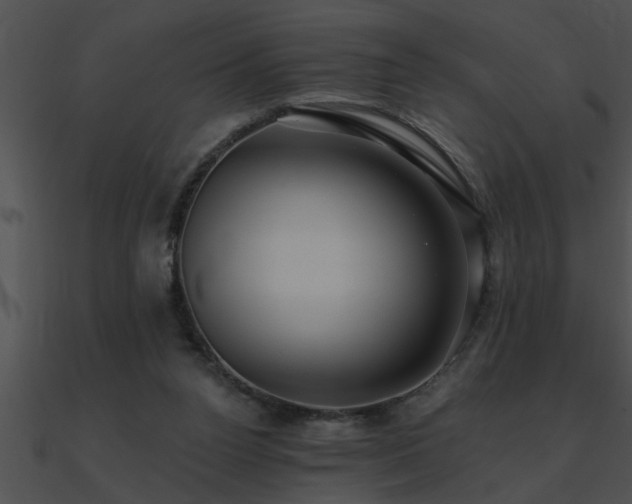 X0000090980160200708021506