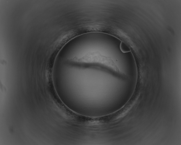 X0000090980161200708021506