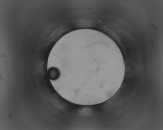 X0000090980162200708021506