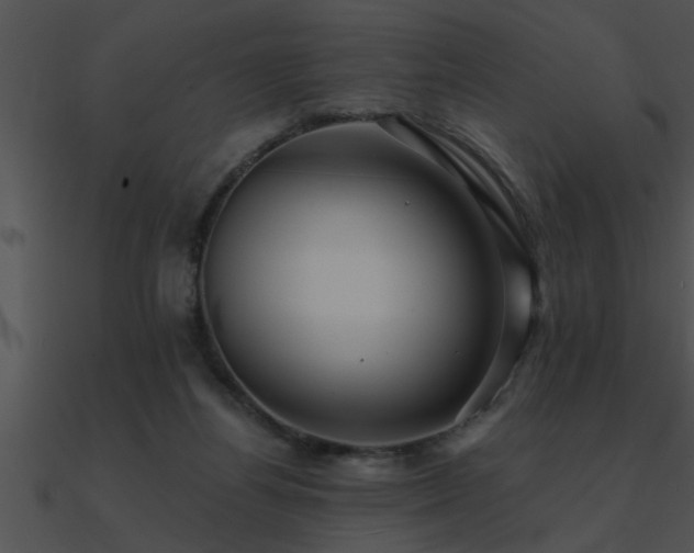 X0000090980164200708021506