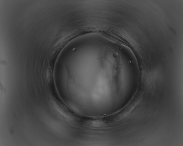 X0000090980165200708021506