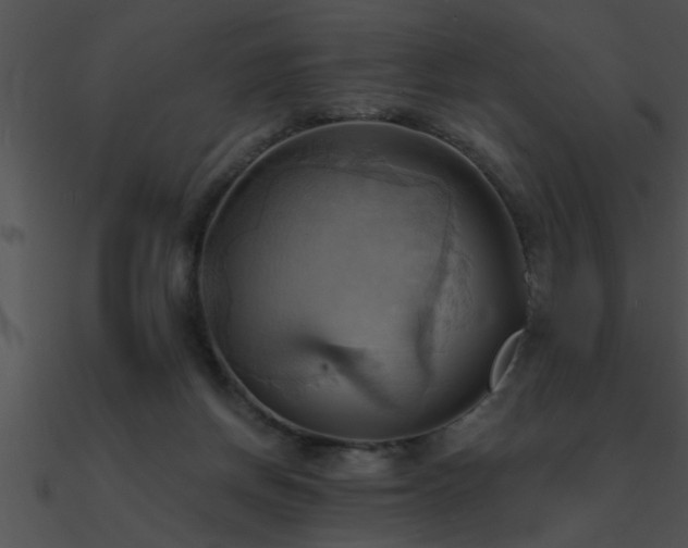 X0000090980166200708021506