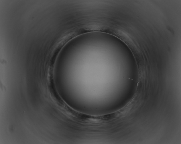 X0000090980167200708021506
